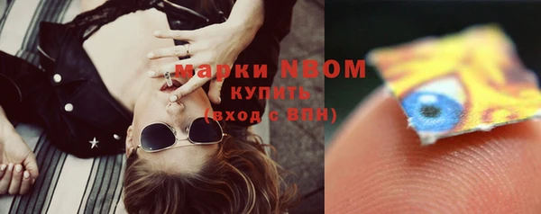 ПСИЛОЦИБИНОВЫЕ ГРИБЫ Михайлов
