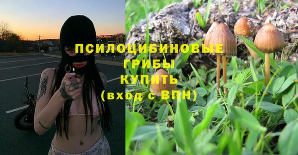 твердый Бежецк