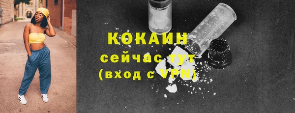 дживик Михайловск