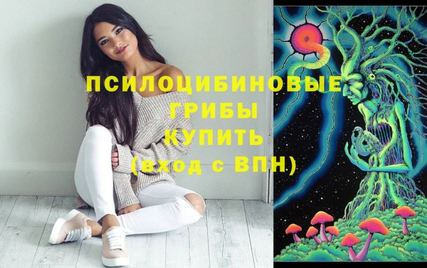 эйфоретик Михайловка