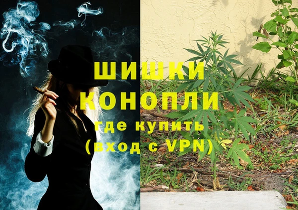 дживик Михайловск